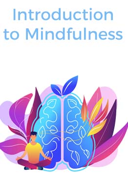 An introduction to Mindfulness – A neuroscience based gamechanger